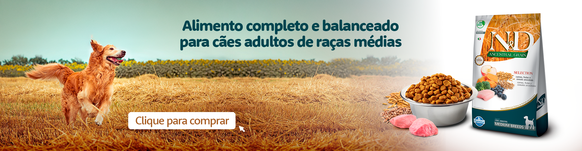 Parceria que dá Prêmios N&D