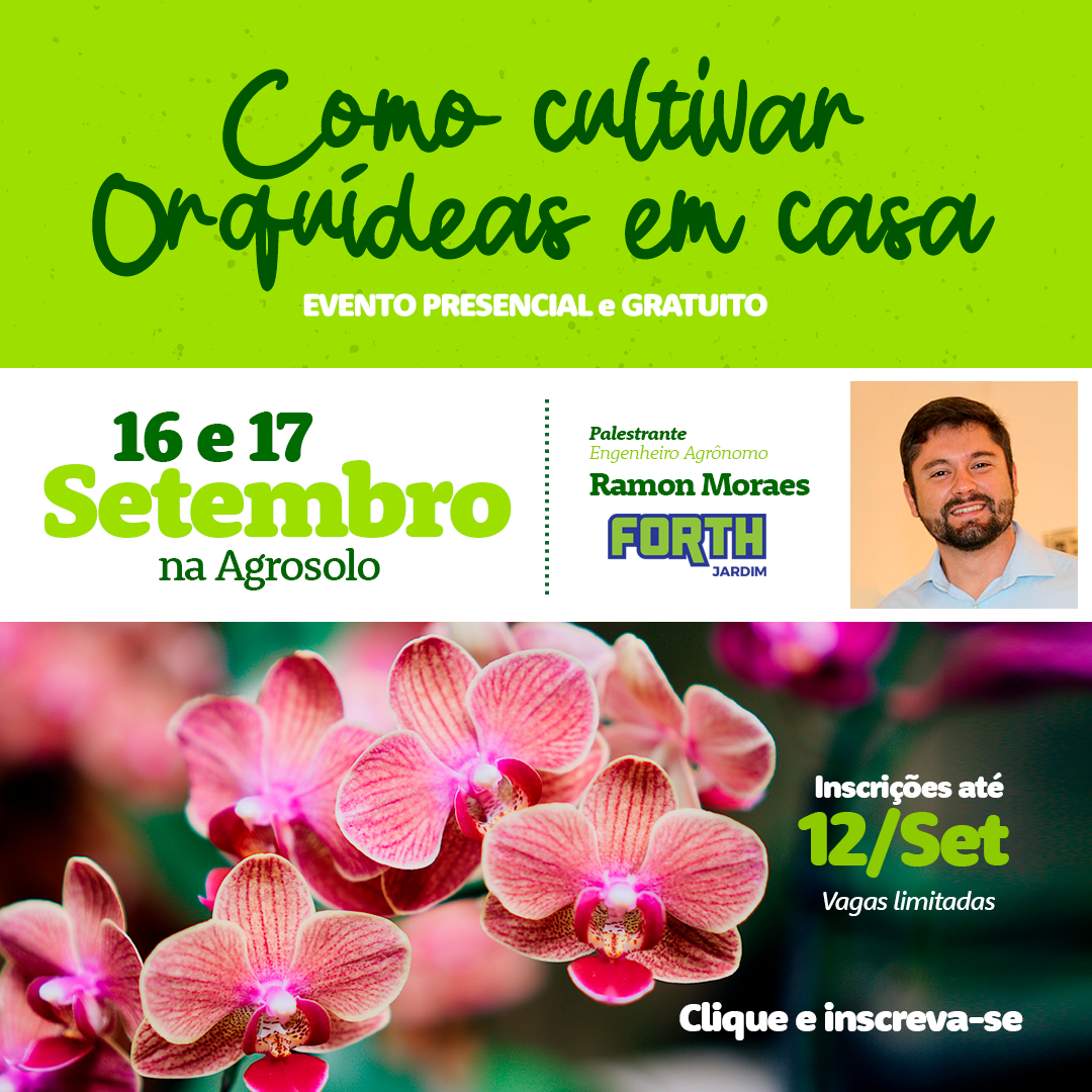 Como cultivar orquídeas