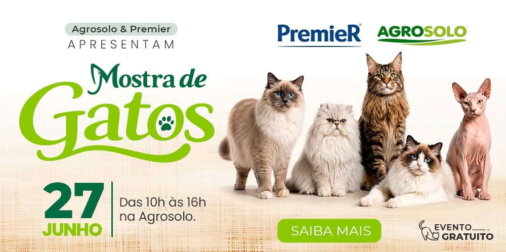 Mostra de Gatos Agrosolo e PremierPet