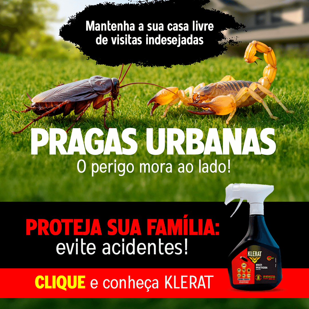 Proteja sua casa contra pragas urbanas!