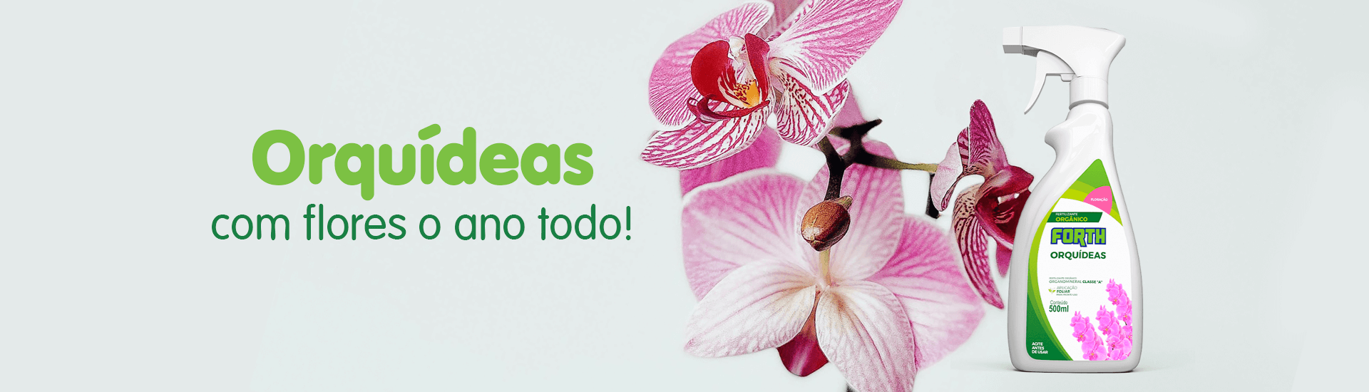 Banner Orquídeas
