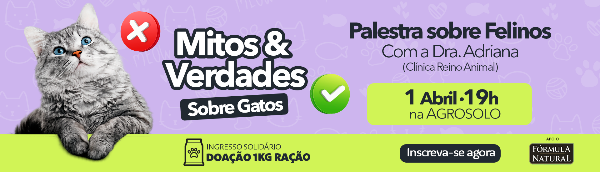 Palestra Mitos e Verdades Gatos