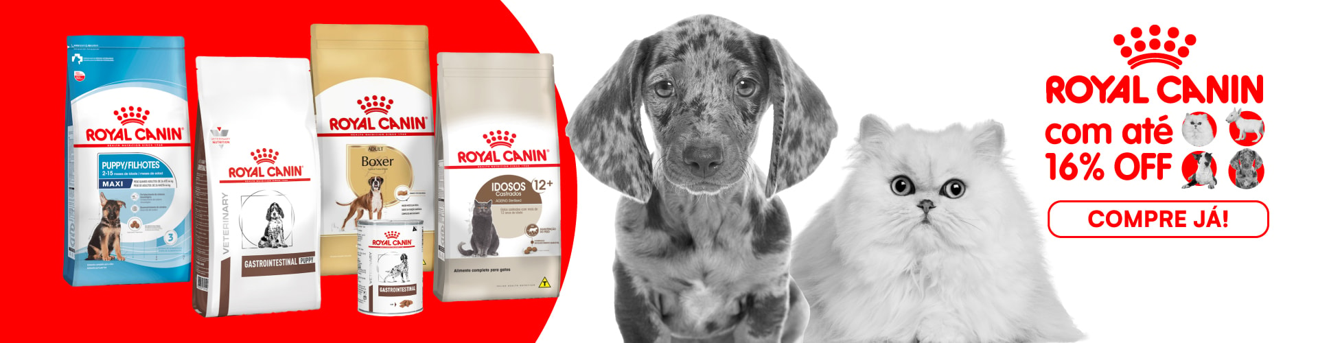 Royal Canin com até 16% OFF!