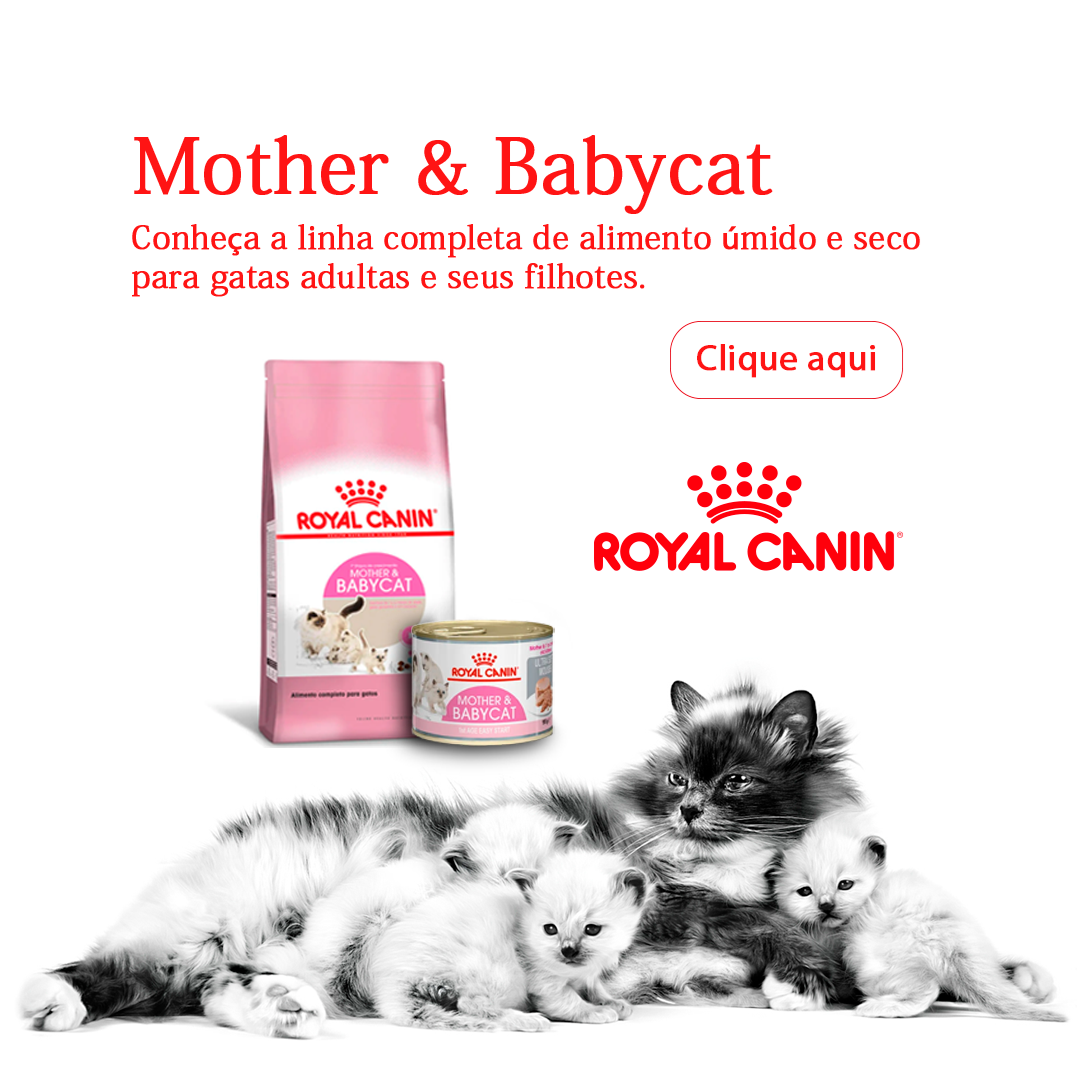 Royal Canin Linha Mother e Baby Cat