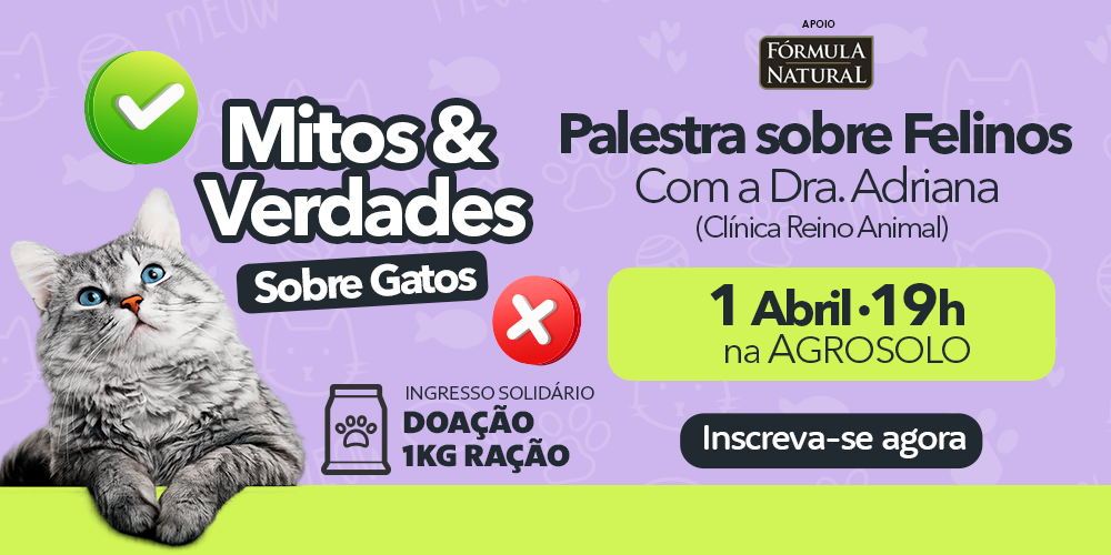 Palestra Mitos e Verdades Gatos