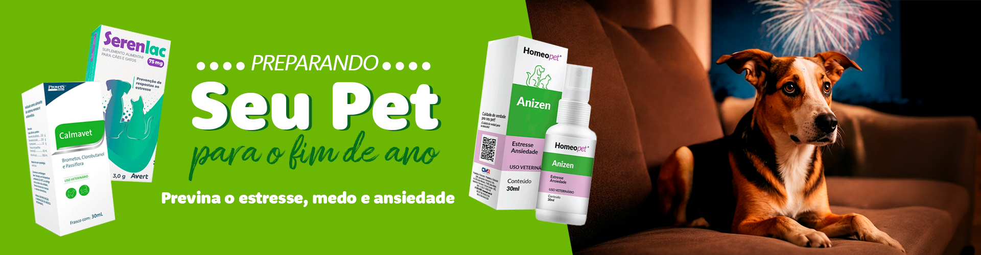 Preparando seu pet para o fim de ano