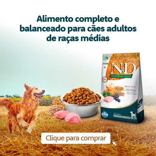 Parceria que dá Prêmios N&D