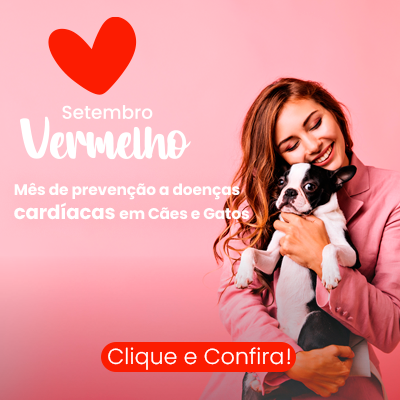 Saiba tudo em nosso blog!