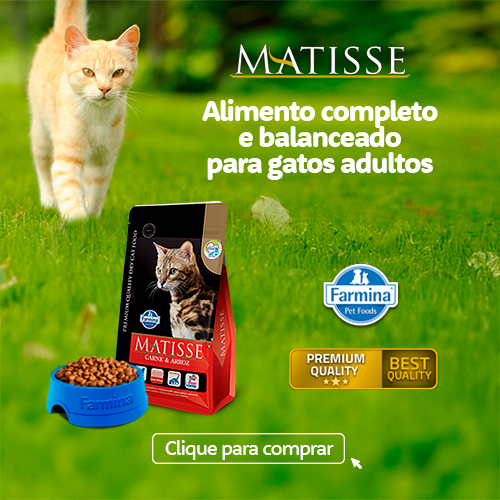 Parceria que dá Prêmios Matisse