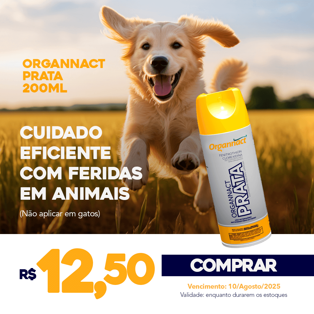 Compre Prata Organnact com desconto!