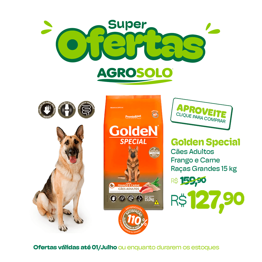 Aproveite Golden Special com 20% OFF!