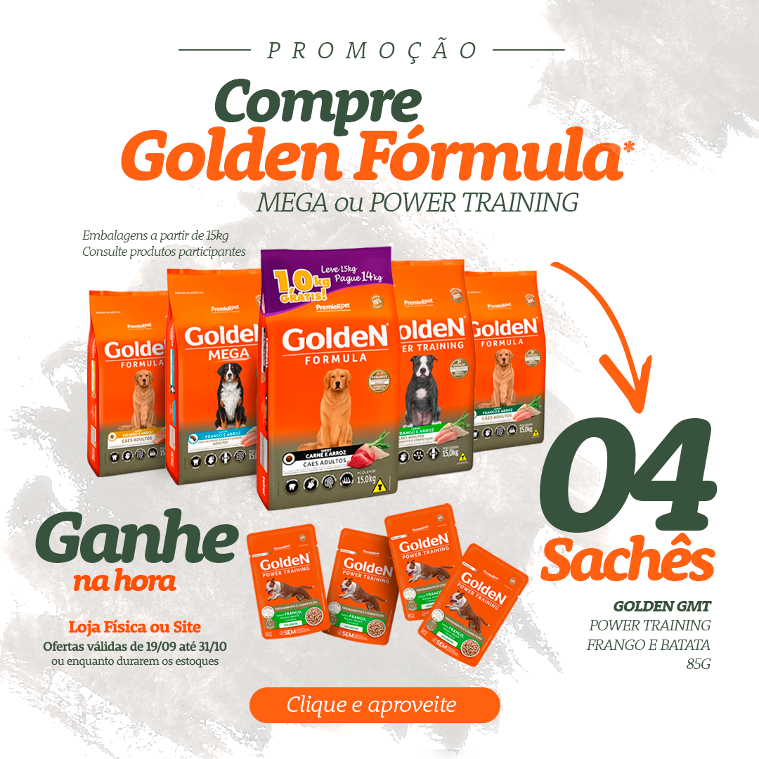 Ganhe Sachê