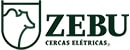 Zebu
