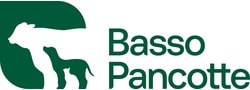 Basso Pancotte