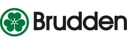 Brudden