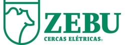Zebu
