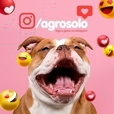 Pet Shop - Instagran Agro Pet Shop - Instagran Agro