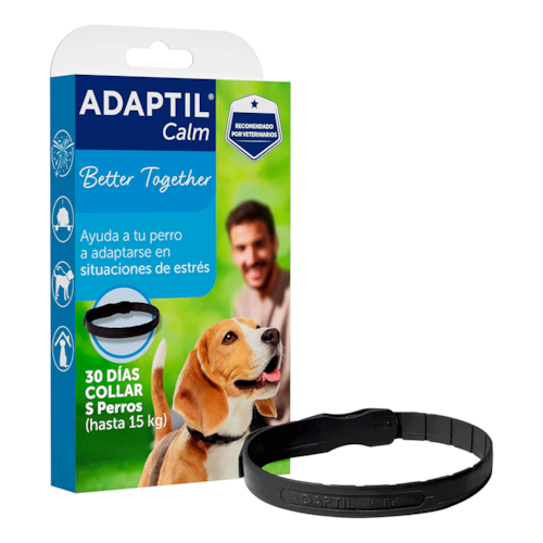 Adaptil Coleira Cepav Reduz Ansiedade em Cães Tamanho P