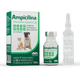 Ampicilina Veterinária Injetável Vetnil 2g
