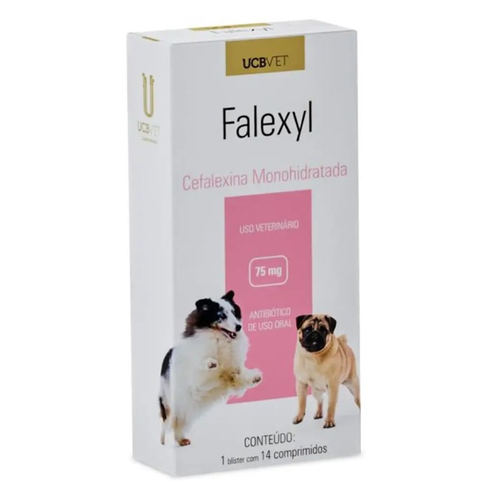 Antibiótico para Cães e Gatos Falexil 75mg 14 Comprimidos UCBLOG