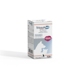 Antibiótico Trissulpetz Suspensão 50ML - Noxon