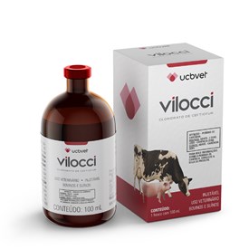 Antibiótico Vilocci UCB 100ml