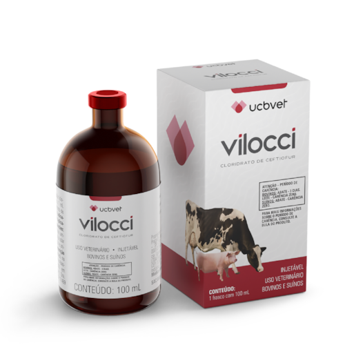 Antibiótico Vilocci UCB 100ml