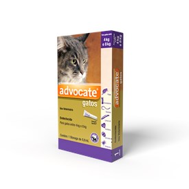 Antipulgas e Vermes Advocate Gatos de 4 a 8kg (0,8 ml)