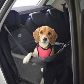 Assento Transpet Tubline para Transporte de Cães e Gatos em Material Sintético - imagem adicional