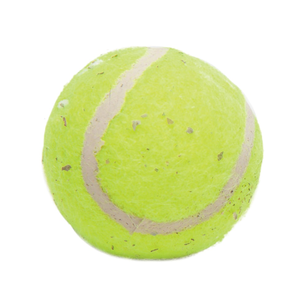 Brinquedo Bola de Tênis Mini DG308 - CF764 - LCM