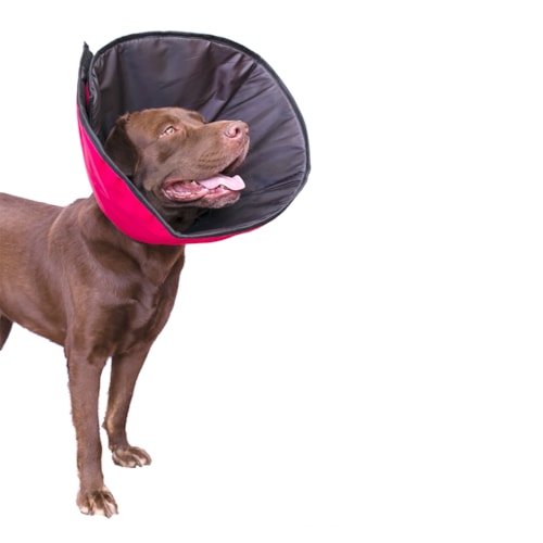 Colar Elizabetano Pet Designer em Tecido com Velcro Nº 01