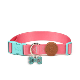 Coleira Avulsa Toh Com Tag ID QR Code Fiji Tamanho G