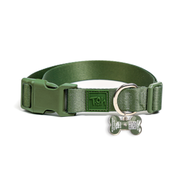 Coleira Avulsa Toh Com Tag ID QR Code Florest Tamanho PP