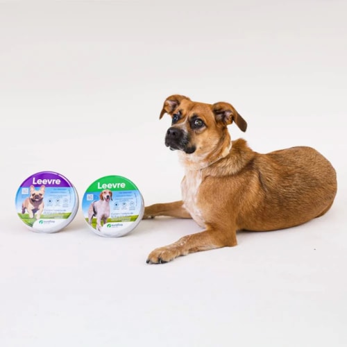 Coleira Leevre Antipulgas e Carrapatos Ourofino Tamanho G 63 cm Protege Contra a Leishmaniose 