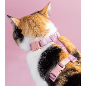 Conjunto de Guia e Peitoral Toh H para Gatos Fiji