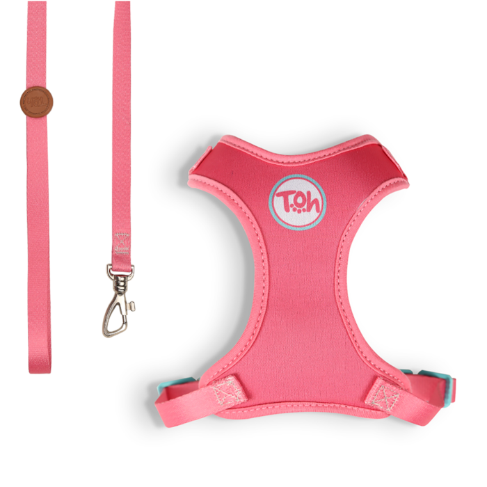 Conjunto de Guia e Peitoral Toh H para Gatos Fiji