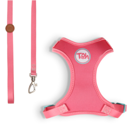 Conjunto de Guia e Peitoral Toh H para Gatos Fiji