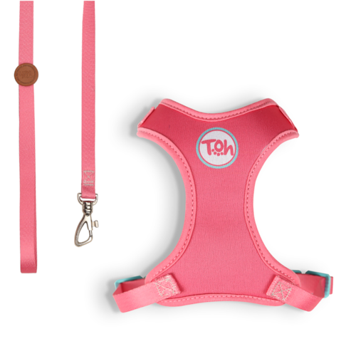 Conjunto de Guia e Peitoral Toh H para Gatos Fiji