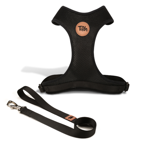 Conjunto Guia e Peitoral H Mesh Black P