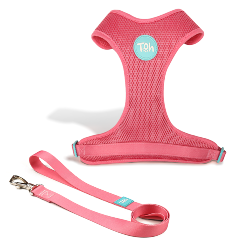 Conjunto Guia e Peitoral H Mesh Fiji M