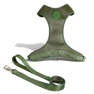 Conjunto Guia e Peitoral H Mesh Florest G