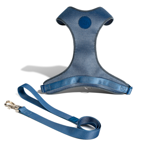 Conjunto Guia e Peitoral H Mesh Marine PP