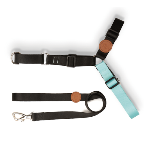 Conjunto Guia e Peitoral Toh Antipuxão G Black