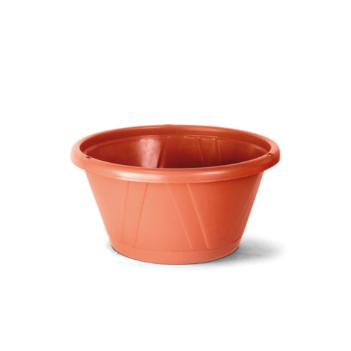 Cuia Nobre com Prato - Nutriplast