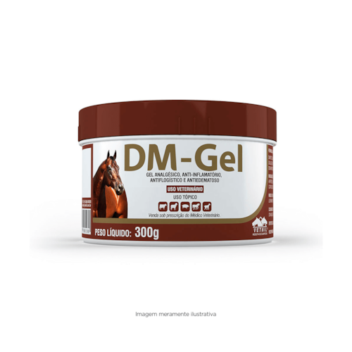 DM Gel Anti-inflamatório Vetnil 300g 