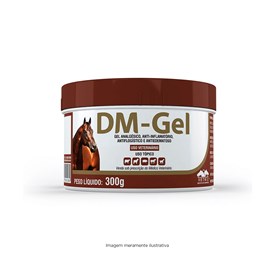 DM Gel Anti-inflamatório Vetnil 300g 