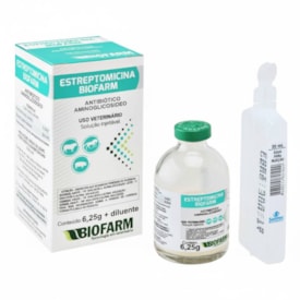 Estreptomicina Antibiótico Aminoglicosídeo Biofarm 6,25g