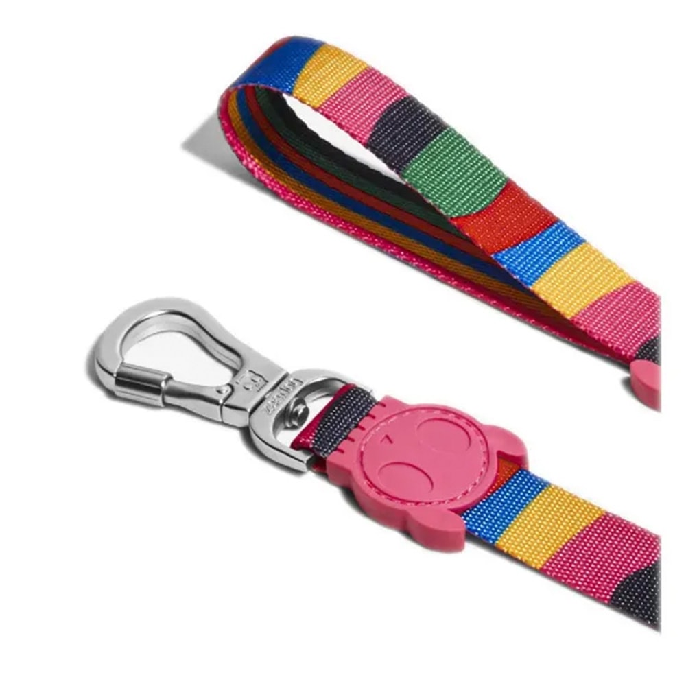 Guia Zeedog Padrão Chroma para Cães P