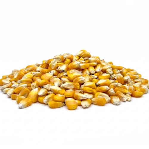 Milho para Alimentação Animal 40kg