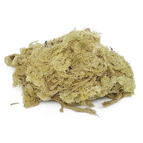 Musgo Esfagno Tradicional Holanda Branco 120g - imagem adicional